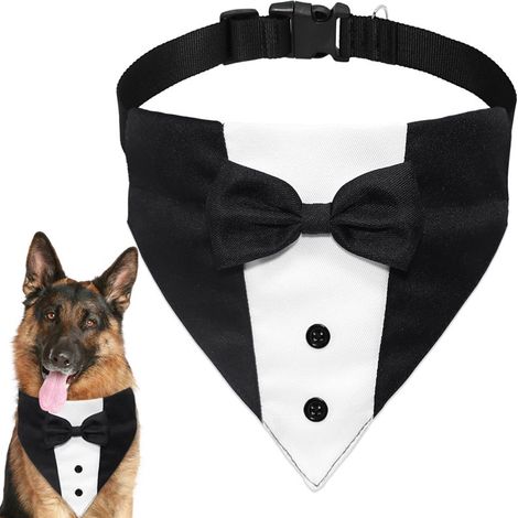 Smoking pour chien, nœud papillon et bandana de mariage (XL : cou 53-76 cm) (1/5)