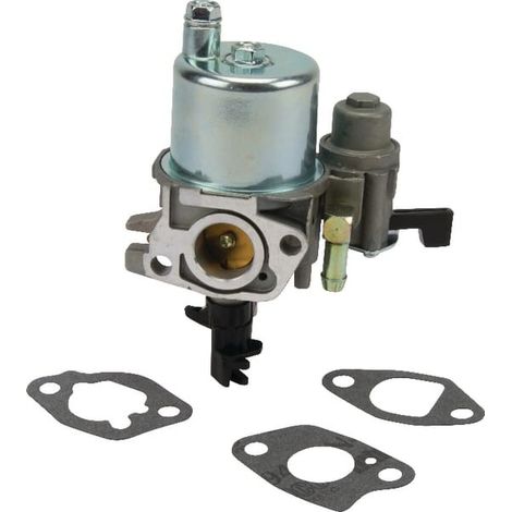 Carburateur BRIGGS ET STRATTON 593351 (1/3)