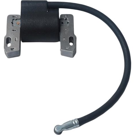 Remplacer la Bobine d'allumage pour Briggs & Stratton Magneto Armature 495859 491312 490586 492341 Nouveau (1/5)