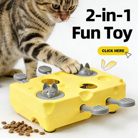 Jouet interactif fromage style taupe distributeur de croquettes – Jeu stimulant anti ennui pour chat (1/4)