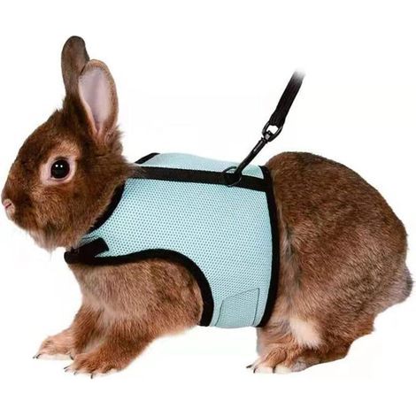 Harnais réglable pour lapins souples avec laisse élastique pour petits animaux lapins hamsters chats (L, vert clair) (1/5)