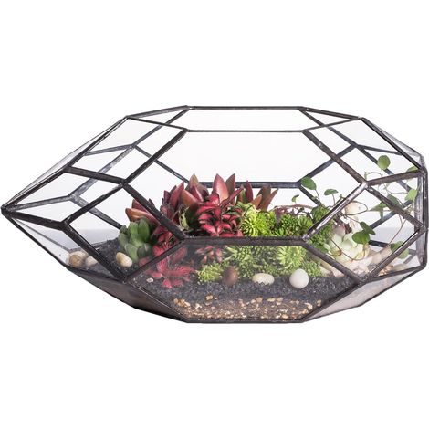Terrarium géométrique en Verre, Noir Pot de Fleurs irrégulier pour Plantes succulentes, Centre de Table pour décoration de Jardin de Mariage, 16,5x15x28cm (sans Plantes) (1/5)
