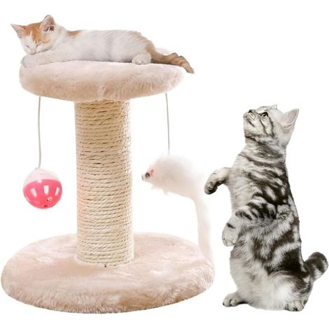 Arbre à Grimper Griffoir pour Chats,Arbre à Chat avec Plateforme en Peluche,Arbre à Chat,Griffoir pour Chats (1/5)