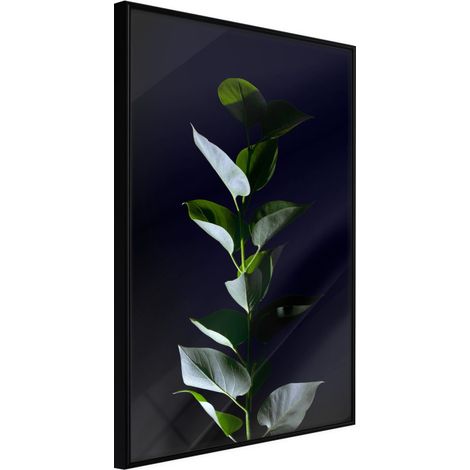 Affiche Murale Encadrée "Floral Elegance" 40 x 60 cm Noir