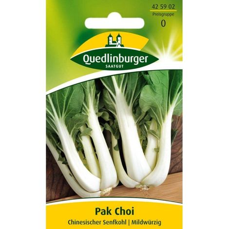 Quedlinburger Pak Choi Chinesischer Senfkohl - Gemüsesamen (1/2)