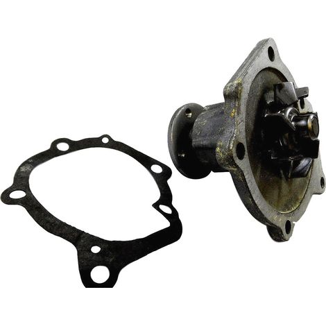 Ensemble de pompe à eau LAZORLITE L31-1006 (1/2)