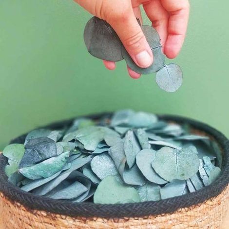 Piante artificiali, coriandoli di foglie di eucalipto, set naturale da 1300 pezzi