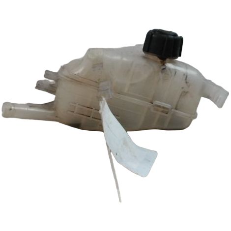 Vase Expansion RENAULT Megane III 2008- [PRODUIT D'OCCASION]♻️217100005r