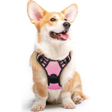 Harnais Chien, Harnais Anti Traction pour Chien Réfléchissant Réglable, Facile à Mettre, avec Poignée Contrôle, Rose, M (1/5)