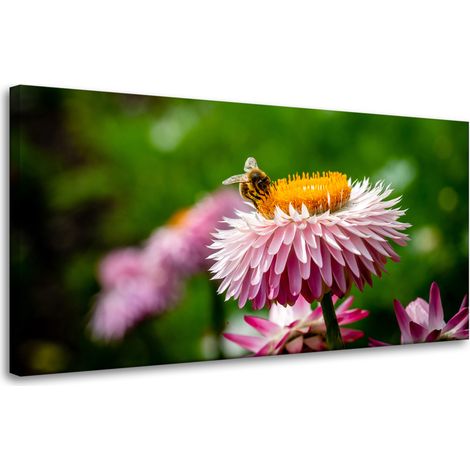 Leinwanddruck Biene auf einem Gänseblümchen 80x40 cm