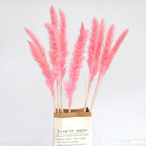 Herbes de la pampa séchées, fleurs de roseau naturelles, bouquet d'herbes de la pampa séchées pour une décoration intérieure bohème (1/4)