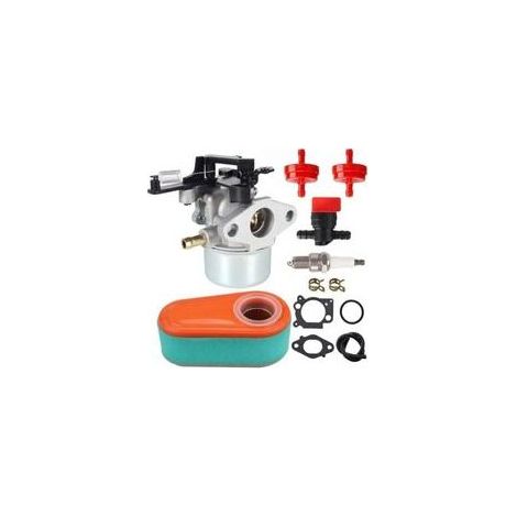 Convient aux carburateurs Briggs & Stratton 591597, 216852, 590780, 593380, 591137, 110P02, 110P05 série 8.75 875 591137. (1/4)