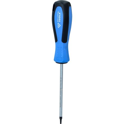 BRILLIANT TOOLS  Destornillador TORX  T10 x  100 mm  - BT031043 (1/4)