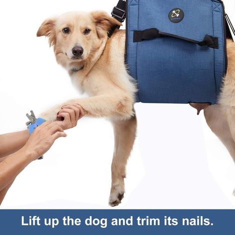 Notfall Rucksack Tragegurt für Hunde Beinstütze und Rehabilitation Haustiere Hebegeschirr zum Krallenschneiden Tragehilfe ältere bei Gelenkve blau (1/5)