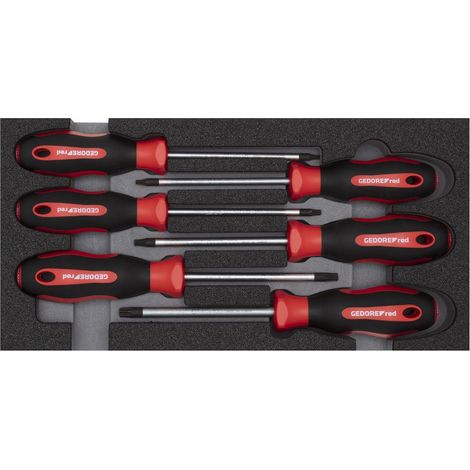 GEDORE red R22150015 Schraubendrehersatz TX 2/6 CT-Modul 6-teilig