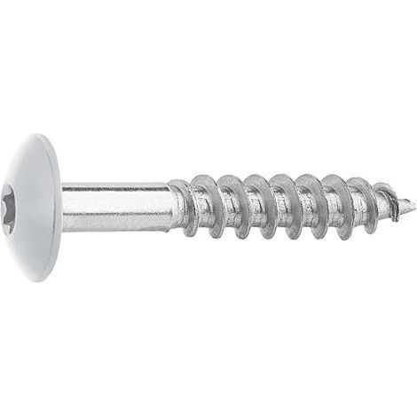 Vis pour panneaux stratifiés A4, 5,5 x 35, RAL 7035 gris, UE : 100