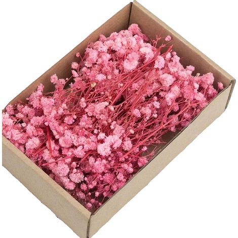 Gypsophila Trockenblumen, Lebendige Farben, Vielseitige Blumenarrangements, Rosa (1/2)