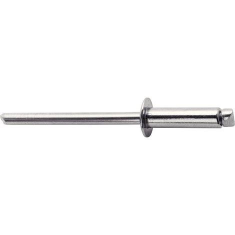 Lot De 50 Rivets Acier Inoxydable Diam.4.8 X H.25 Mm Avec Forêt