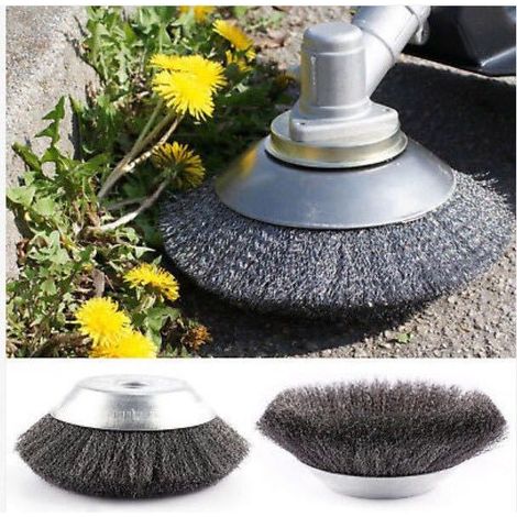 Lame Brosse Métallique 8 Pouces pour Coupe-Bordure Débroussailleuse Fil Acier Résistant Désherbage Jardin Allées (1/4)