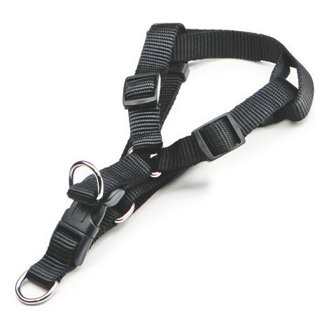 Utilia Pet PETTORALE IN NYLON REGOLABILE  fascia cm. 1,0 col. Assortiti