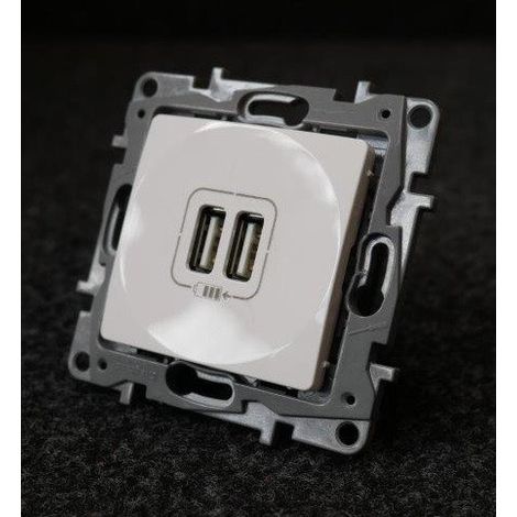 Double chargeur USB Niloé 2400mA blanc - LEGRAND - 664794 (1/2)