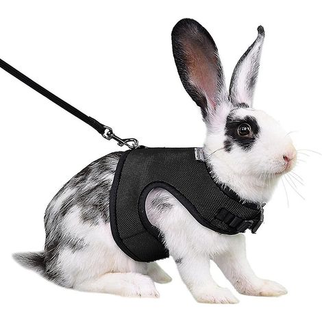 Harnais pour lapin, furet, rat et hamster, confortable et réglable, avec laisse et harnais en maille douce, accessoires pour animaux de compagnie - Taille S - Noir (1/3)