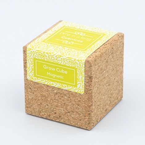 Grow Cube aimanté Coriandre (1/4)