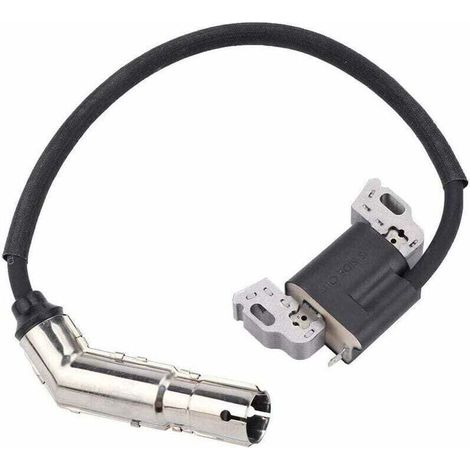 Bobina di accensione, magnete e indotto di ricambio per motore Briggs & Stratton 592841 799650 595304 795315 21A807 21A877 21A902 21A907 21A907 21A907 (1/2)