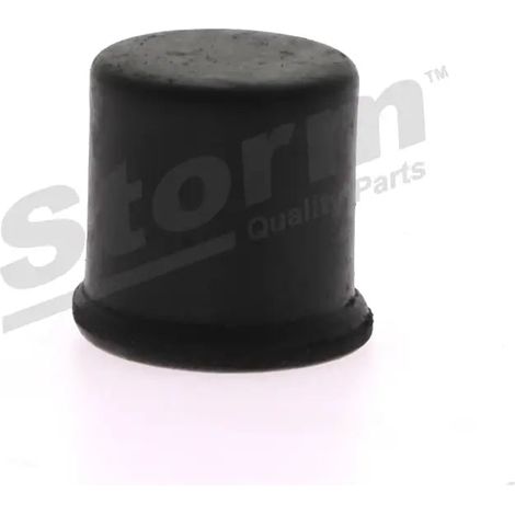 Bouchon d'étanchéité/de protection Ø 22 mm, longueur 20 mm (1/5)