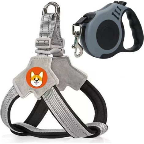 Filiyano-Laisse harnais pour chien, laisse pour animaux de compagnie de type gilet, chaîne pour chiens de petite, moyenne et grande taille tels que (1/5)