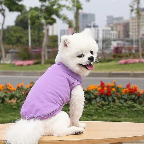 Ropa de verano para mascotas, para perros pequeños y medianos, camiseta de algodón lisa, accesorios para perros, artículos para mascotas, chalecos para gatos, conjuntos para mascotas, tallas XS-3XL, c (1/5)