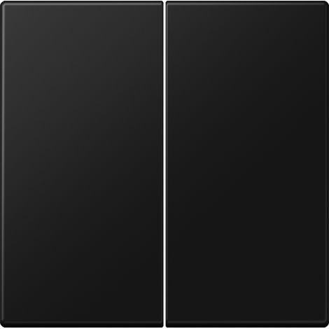 Jung Balancín 2 vías, duroplástico lacado, serie LS, negro grafito mate LS 995 SWM
