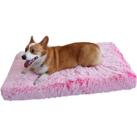 Haustier-Sofa-Bettkissen (für Hunde und Katzen) - Plüschiges quadratisches Design - Rosa und Weiß - Kleine Größe (40 x 30 x 5 cm) (1/3)