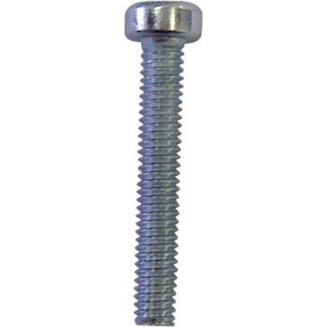 TOOLCRAFT 888132 - VITI CILINDRICHE M4, 12 MM, ESAGONALE, ISO 14579, IN ACCIAIO ZINCATO, 100 PEZZI