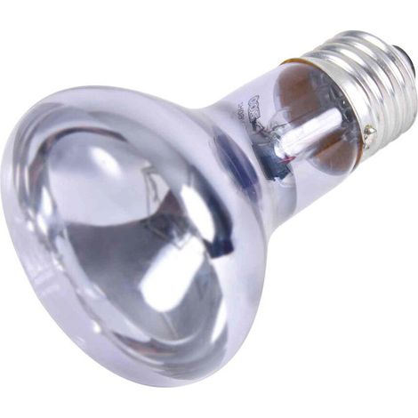 Lampada per rettili - Neodimio - 75 W - Ø 63 × 100 mm - Confezione da 2 - Illuminazione acquario (1/4)