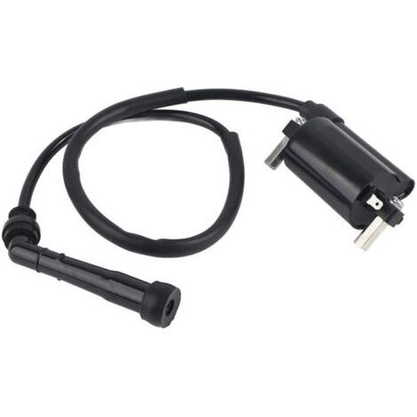 Bobine d'allumage pour moto compatible avec Suzuki Savage 650 LS650P modèle 1986 à 2004 accessoire de remplacement pour système d'allumage