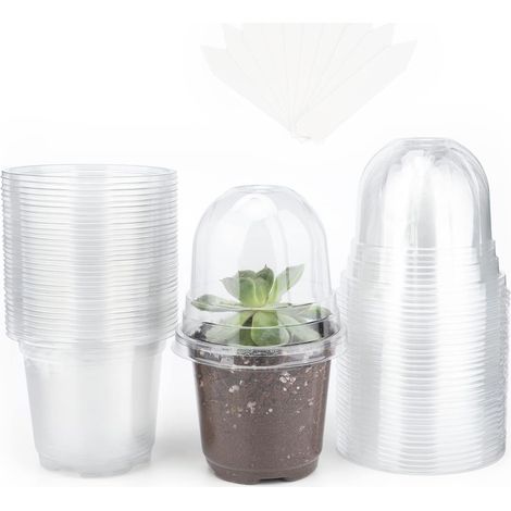 32 Pieces Pot semis Pot de Fleurs en Plastique Transparent avec Couvercle Transparent et 10 étiquettes de Plantes en Plastique 10 x 2cm (1/4)