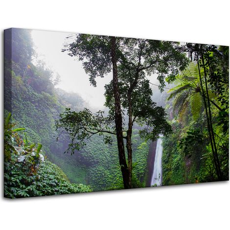 Leinwanddruck Natur Tropischer Wald 80x50 cm