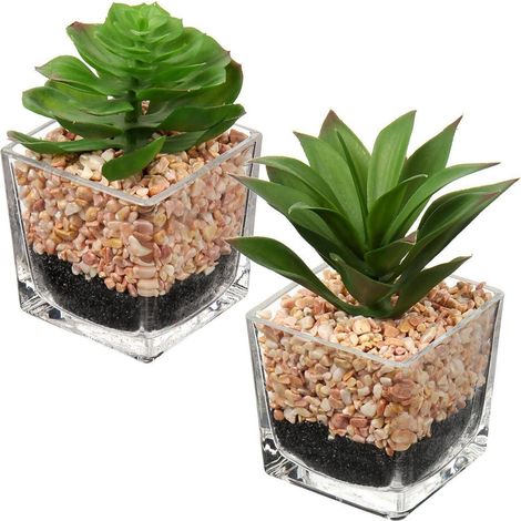 2PCS Künstliche Sukkulenten Kunstpflanze Wie Echt Glastopf Wohnzimmer (1/5)