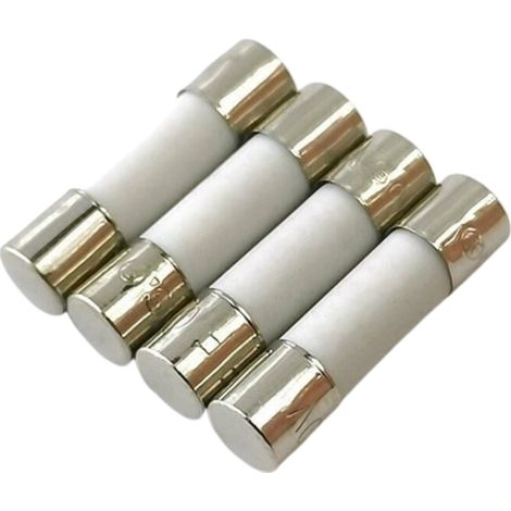 10 fusibles temporisés en céramique (T) 10 A / 250 V CA 5 x 20 mm (1/5)