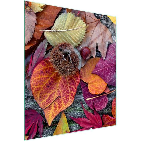TAGLIERE IN VETRO 45x52 Foglie (1/5)