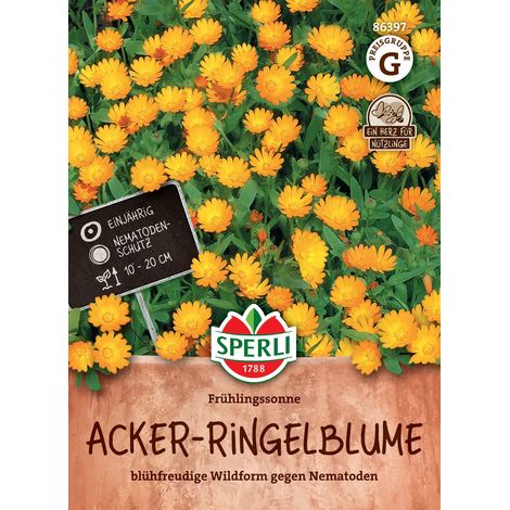 Sperli Acker-Ringelblumen Frühlingssonne - Blumensamen (1/2)