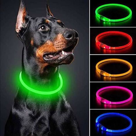 Collier Chien Lumineux USB Rechargeable Collier Longueur Ajustable, 3 Modes ,pour Petits Moyens Grands Chiens (Vert) (1/4)