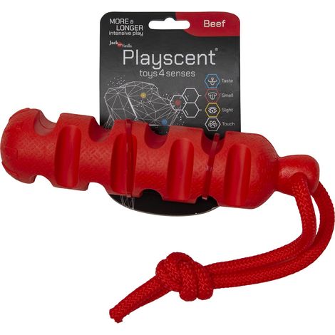 Jouet interactif pour Chien, Texture Douce, Parfum de Boeuf, résistant et Facile à Nettoyer, idéal pour Le Jeu, 24 cm, Couleur Naturelle