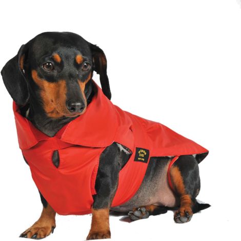 Fashion Dog Hundemantel speziell für Dackel - Rot - 36 cm (1/3)