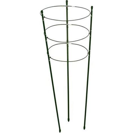 Supporto Tondo per Piante rampicanti da Vaso in Metallo e plastica verde60x22x22 cm (1/2)