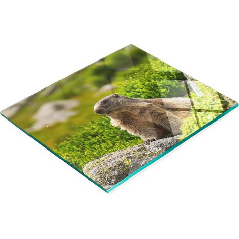 Tablero de vidrio elegante y resistente con estampado de marmota de Tatra, 60x52 cm.
