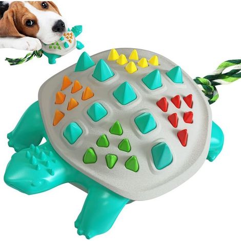 Jouet à mâcher multifonctionnel pour chien (1/5)