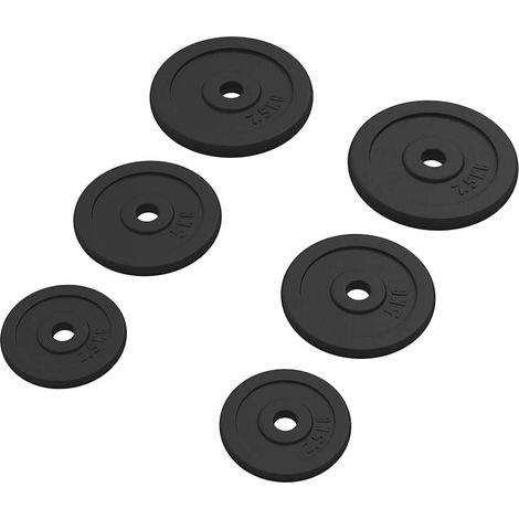 vidaXL Discos de pesas de hierro fundido 6 piezas 30 kg (1/2)
