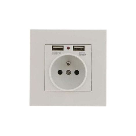 2er Set Wandsteckdosen, Wandsteckdose mit Dual USB 5V/2100mA, Unterputzsteckdose mit 2 USB-Anschlüssen Praktisch und Handlich TREETALK FLITI